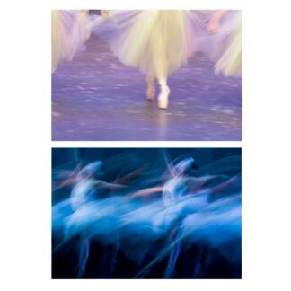 Quadro stampa astratto ballerine 2 assortiti cm60x90