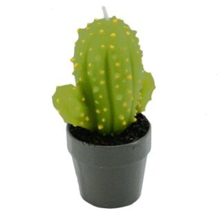 Candela cactus verde con vaso cm6,5x5h12,5