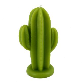 Candela cactus verde cmø4/10h15