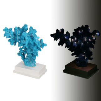 Corallo resina azzurro con led cm20x17h24,5