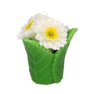 Candela margherita bianco con vaso cmø10,5h12,5