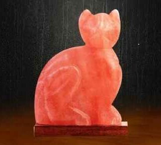 Lampada sale base legno gatto con attacco cm16x7h23