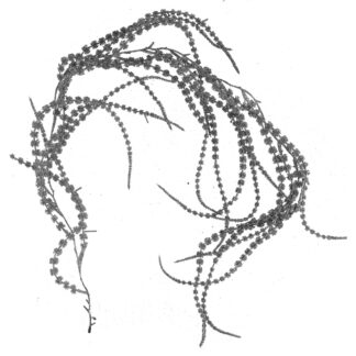 Festone plastica argento cm140