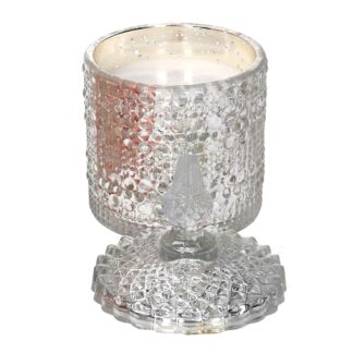 Candela paraffina profumata oceano in vetro argento cmø7,5h15 scatola regalo