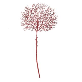 Ramo plastica rosso cm90