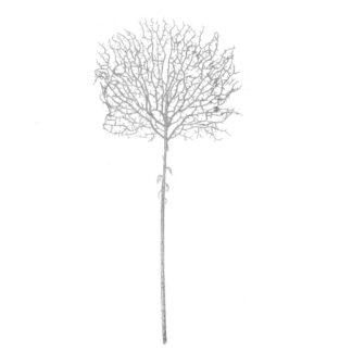 Ramo plastica argento cm90