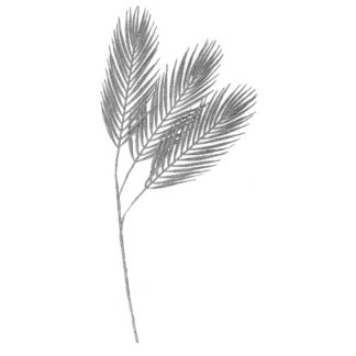 Ramo plastica foglie argento cm80