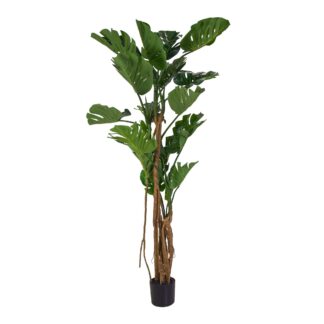 Pianta artificiale plastica monstera cmh210