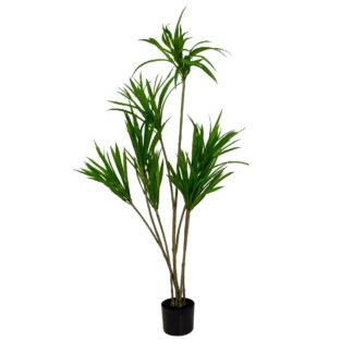 Pianta artificiale plastica dracena marginata cm h130