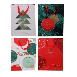 Sacchetto carta minimal rettangolare 4 assortiti cm30x12h39